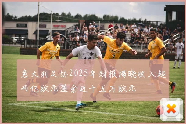 意大利足协2025年财报揭晓收入超两亿欧元盈余近十五万欧元