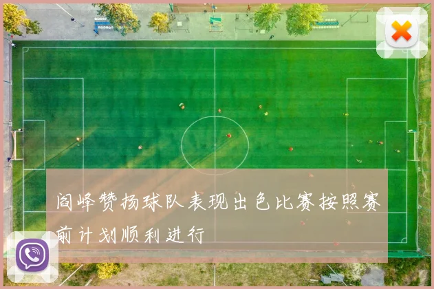 阎峰赞扬球队表现出色比赛按照赛前计划顺利进行